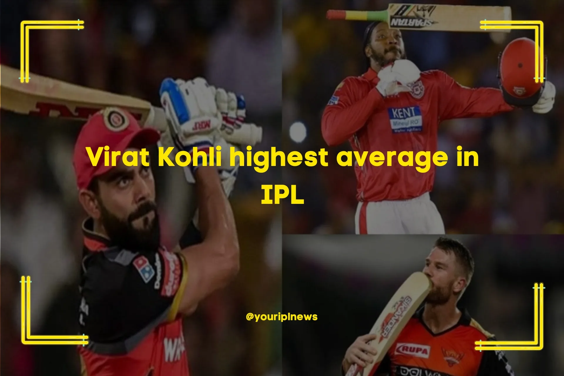 highest average in IPL