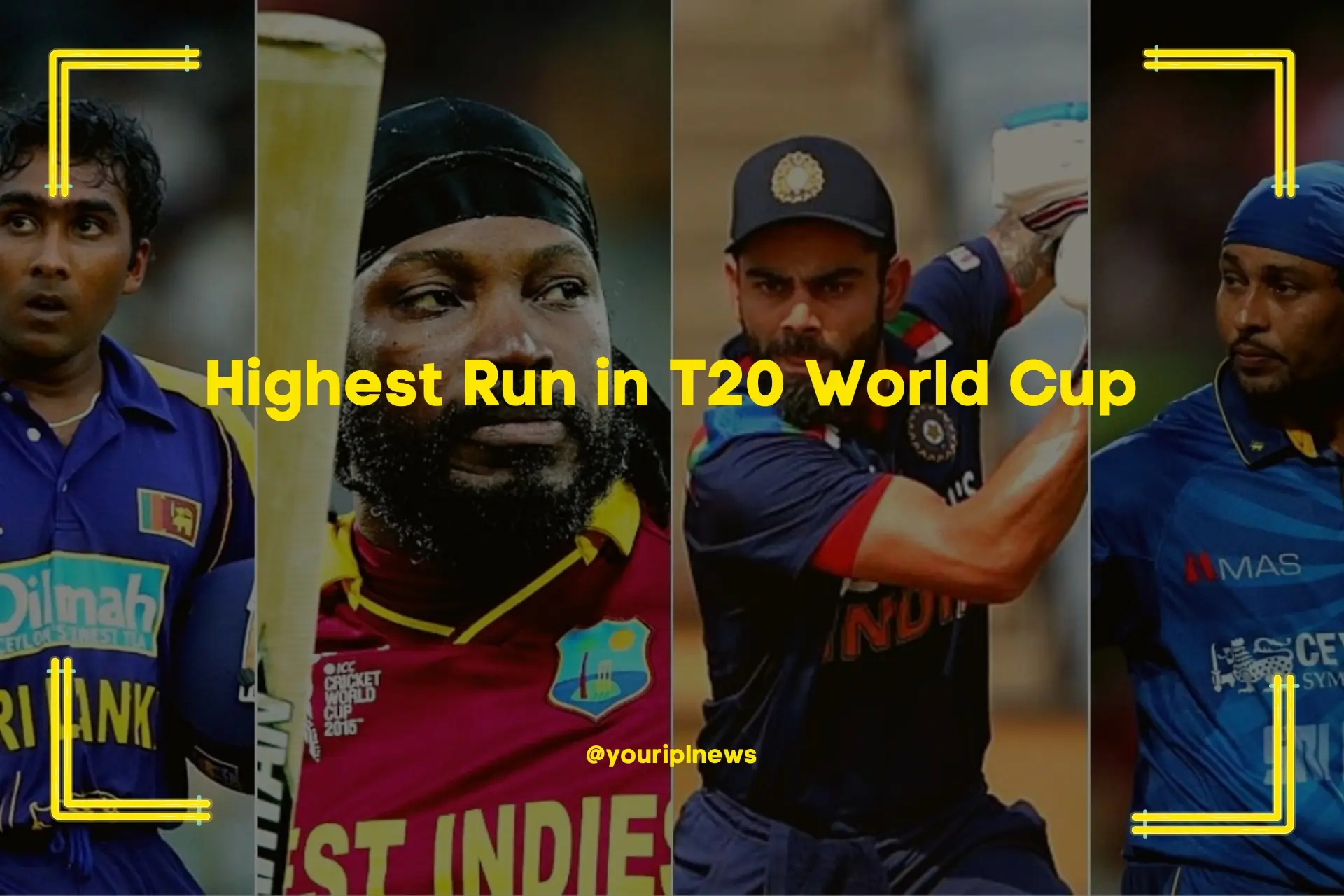 Highest Run in T20 World Cup