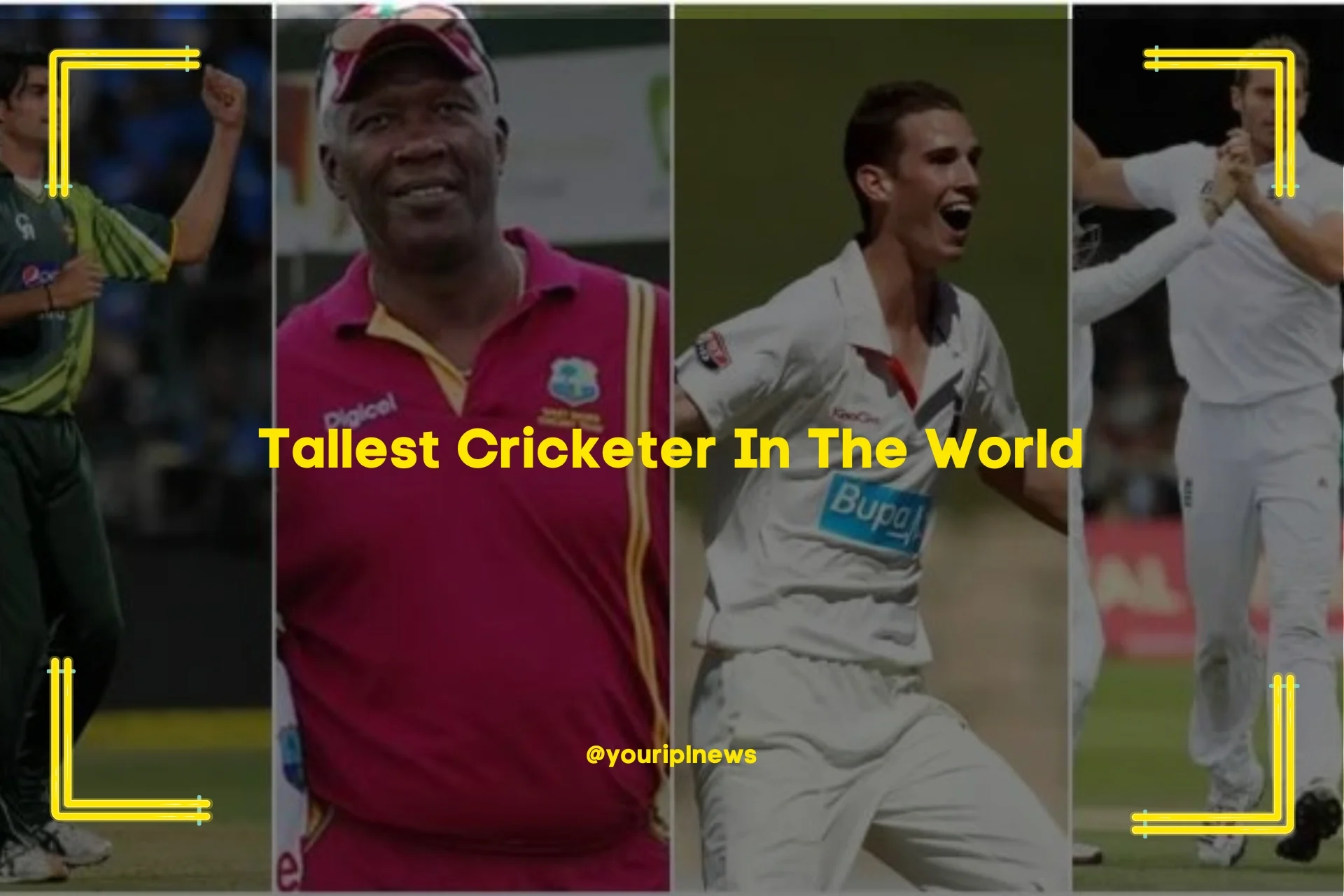 Tallest Cricketer In The World (1)
